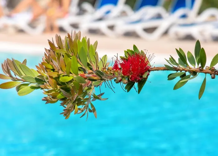 Sowell La Saint-Raphaël